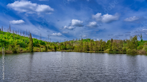 Polstertaler Teich im Oberharz