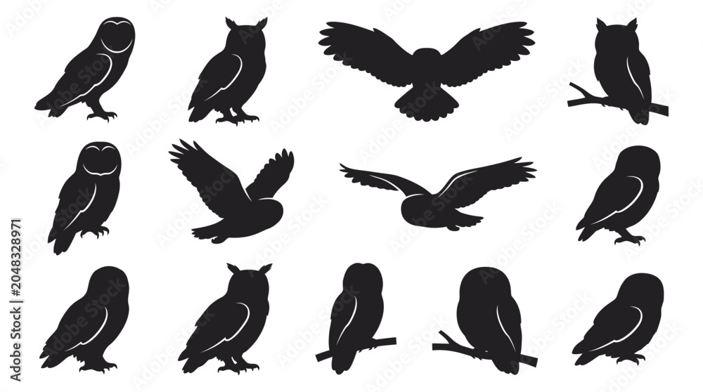 Fototapeta premium Collection Of Owl Silhouettes In Various Poses Black Silhouette
