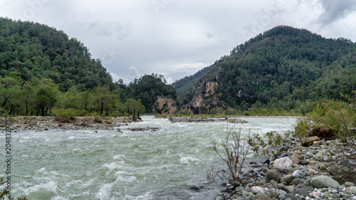 Namnam River flows through rocky banks and lush green pine forest in Mugla, Turkey. Wild mountain river landscape under a cloudy sky.