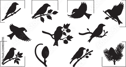 Set of black bird silhouettes in various natural poses, including flying, perching on leafy branches, pine twigs, and berry stems, presented on a clean white background.