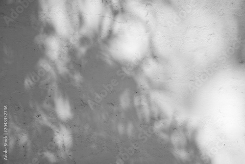 An abstract black and white background image showing the shadows of leaves on a concrete wall.