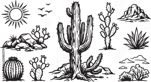 Desert Cactus Plants and Rocky Landscape Illustration