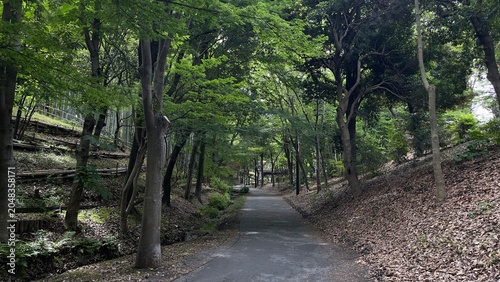 緑道