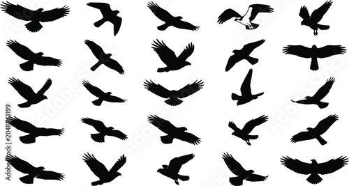 Schilderij op canvas Eagle and hawk flying silhouettes vector icons set with birds of prey soaring t