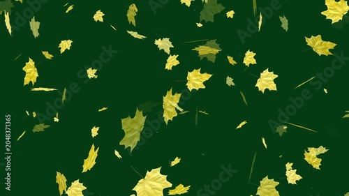 Beautiful Falling Leaves Motion Graphics Loop, Autumn and Green Foliage Background Video for Overlay and VFX. Realistic Green and Orange Foliage Overlay, Seamless Loop Video for Editors.