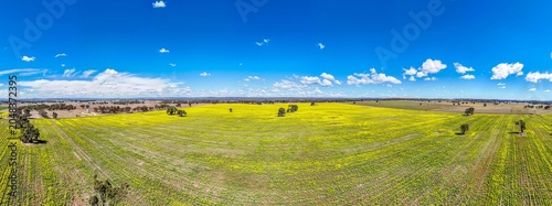 Fotografie Landscape with blue sky and yellow flowers in a Field over the countryside