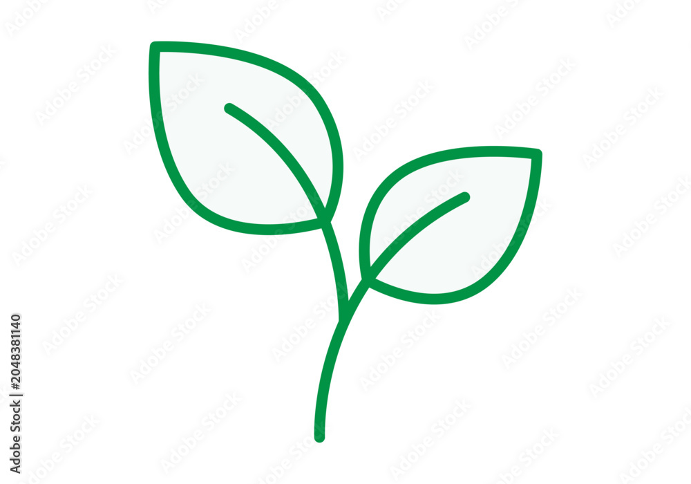 Fototapeta premium Plantas pequeñas con hojas verdes