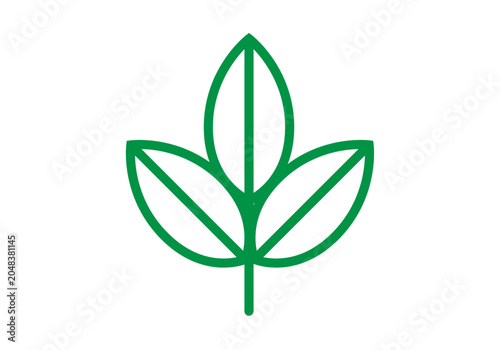 Foto Grupo de hojas verdes con contorno