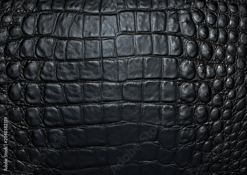 A close-up texture of dark, glossy reptilian skin; detailed scales and ridges create a rich, tactile aesthetic, emphasizing natural patterns