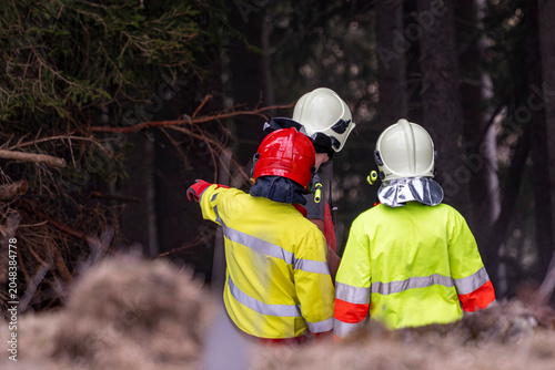 Tableau sur toile Fire crew briefing during wildfire preparedness training in alpine forest, Firef