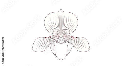 Foto Detailed illustration of an orchid flower.