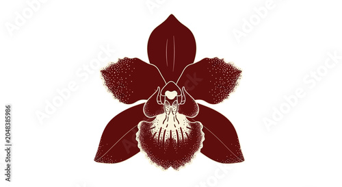 Bild auf Leinwand Dark Red Orchid Flower Closeup View.
