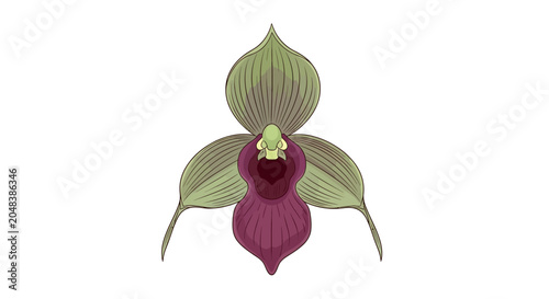 Foto Closeup of exotic pink orchid flower.