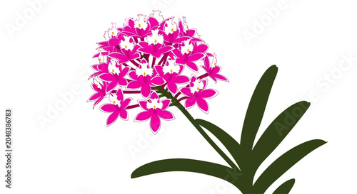 Foto Vibrant Pink Flower with Green Leaves.