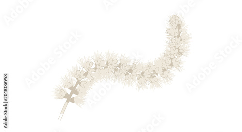 Tableau sur toile White Pearl Necklace Jewelry Accessory.