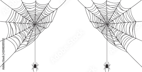 Detailed black and white vector illustration of two symmetrical spider webs with small spiders hanging down on white background surface