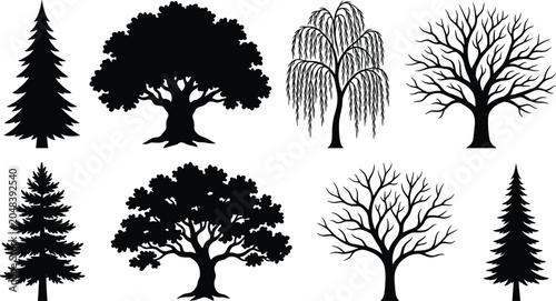 Obraz na płótnie Tree Silhouette Collection Featuring Evergreen, Oak, Willow, and Bare Branch Tre