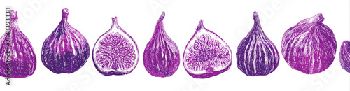 A linear composition of illustrated figs, showcasing whole and halved fruit, rendered in hues of purple against a white backdrop