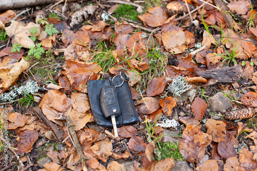 Car remote key and wallet lying on fallen autumn leaves in a forest. Lost belongings, vehicle access and security concept