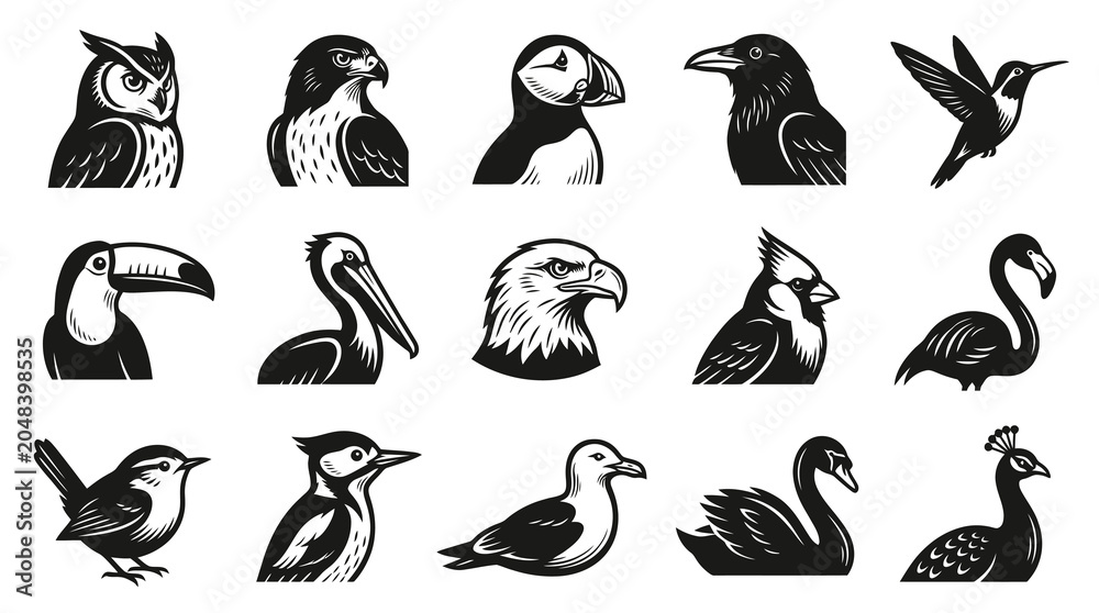 Obraz premium Black and White Bird Icons Set - Vector Animal Illustrations