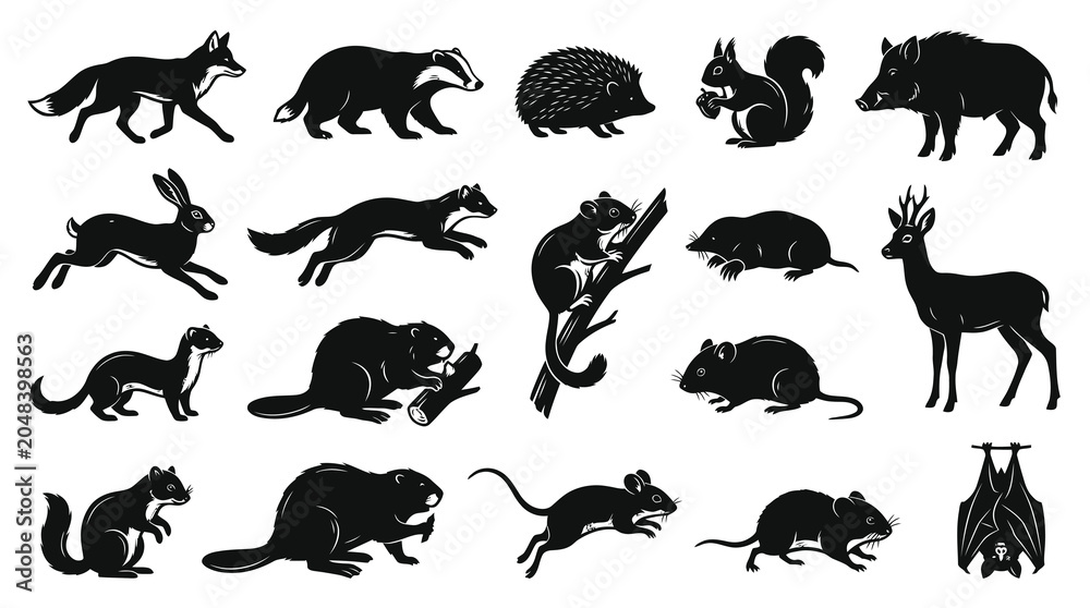 Obraz premium European Forest Mammals Black White Silhouettes Set. Wildlife Animals Glyph Icons Collection for Nature Design.