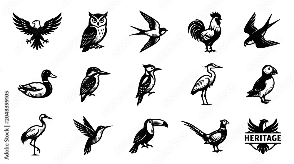 Obraz premium Detailed Black White Line Art Icons Set of Various Wildlife Birds for Nature Animal Kingdom Designs