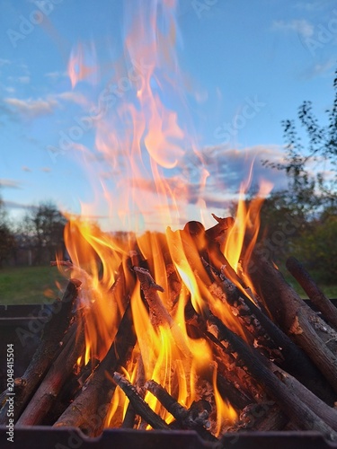 Bright campfire flame burning on wooden logs outdoors against a twilight sky