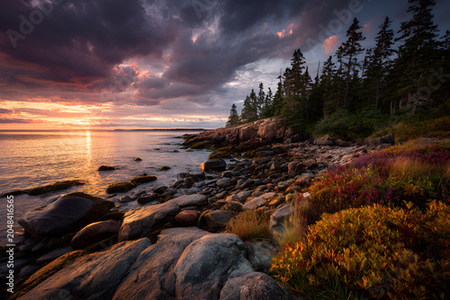 Coastal scene bathed in dramatic sunset light, with rocky shoreline, lush vegetation, and towering evergreen trees