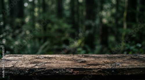 Rugged Dark Cedar Wood Product Mockup Background With Blurred Forest Jungle And Natural Moody Light