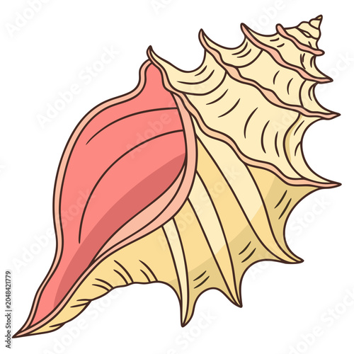 vector illustration of a seashell on a white background