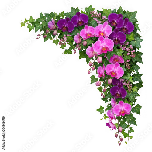 Corner arrangement of purple and pink orchids with ivy isolated on transparent background