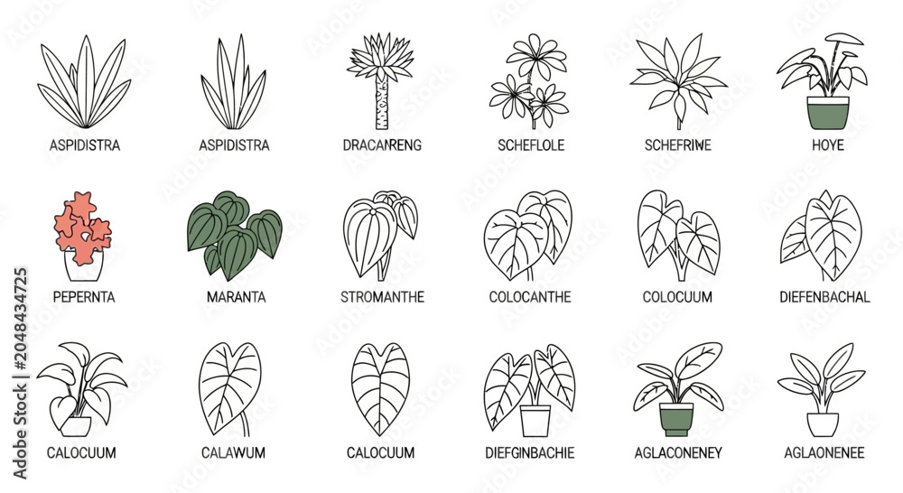 Fototapeta premium Collection of Houseplant Line Art Icons - Botanical Illustrations of Indoor Plants