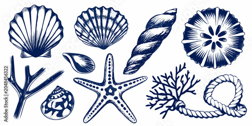 Quadro su tela Blue Ink Illustration Set Of Marine Shells And Sea Life