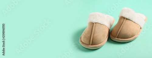 Cozy beige fur lined house ...