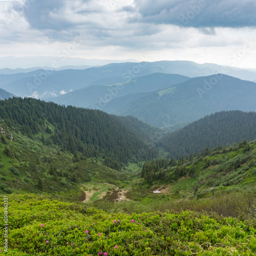 Panoramic view of a lush mountain valley framed by forested slopes and distant peaks beneath dramatic storm clouds, with soft light illuminating the layered landscape.