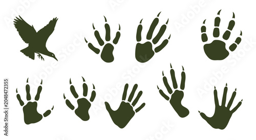 Photography Animal Paw Prints and Bird Silhouette Vector Set