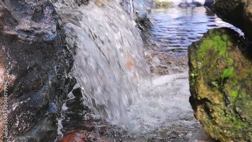 Close-up of fresh clear water cascading over dark natural rocks in a small garden stream or backyard waterfall feature.
