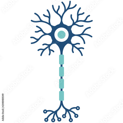 Obraz na plátne Vector icon of a biological motor neuron cell with neuroscience, dendrite