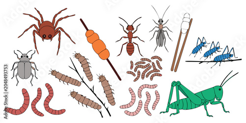 Canvas Print Insects and bugs collection set with spider beetle grasshopper and larvae vector illustration