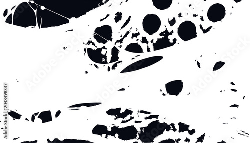 Abstract White Organic Shapes on Dark Background