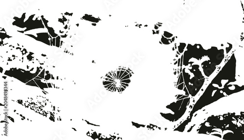 Abstract Black and White Spiderweb with Natural Textures