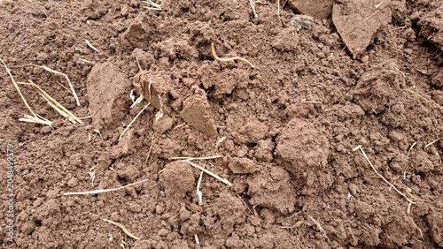 Obraz na płótnie Organic farming