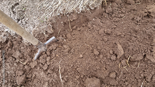 Konstfotografi Organic farming