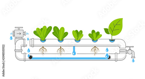 Fotografie Hydroponic System for Growing Plants - NFT Technology