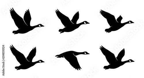 Canada Goose Flying Sequence, Silhouette Vector Animation Frames, Wildlife Bird Migration Graphics, Nature Movement Illustration