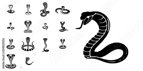 Fotografie Cobra Snake Raised Hood Flat Vector Icon with Clean Lines on White Background