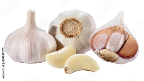 Vászonkép Isolated fresh whole garlic bulbs and peeled cloves, aromatic natural cooking in