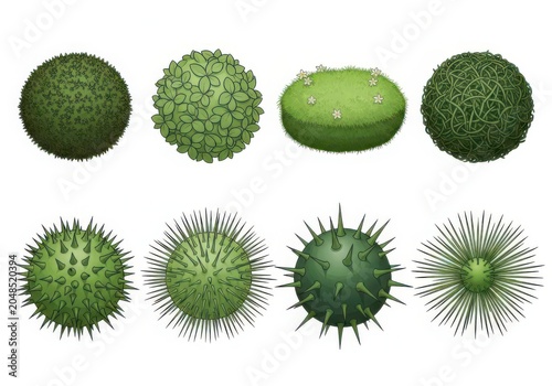 Set of green spiky virus or bacteria cells isolated on white background