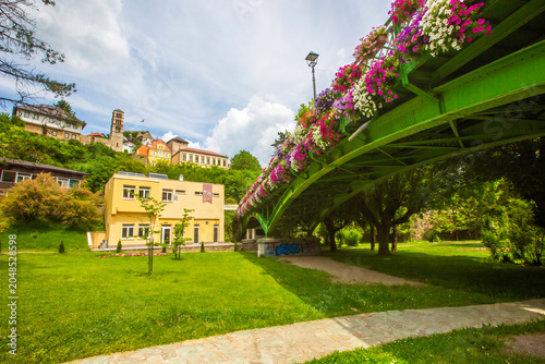 Tableau sur toile Scenic view of a flower decorated pedestrian bridge over a green park with the h