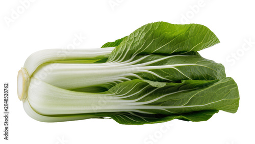Bild auf Leinwand Isolated fresh bok choy vegetable, organic, healthy, green leafy Asian food ingr